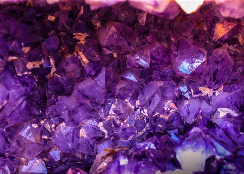 L’histoire surprenante du violet