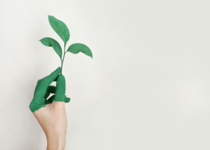 How to create an eco-responsible visual identity?