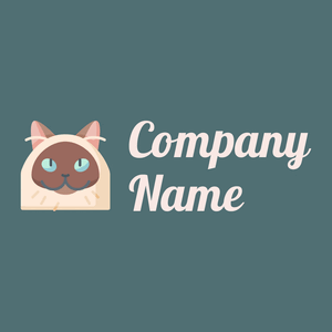 Himalayan cat on a William background - Animais e Pets
