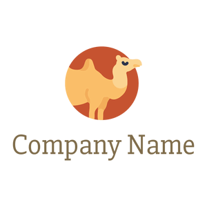 Trinidad Camel on a White background - Animais e Pets