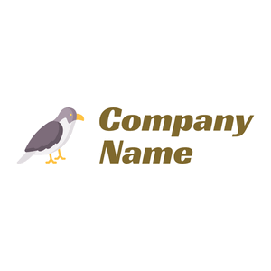 Falcon on a White background - Dieren/huisdieren