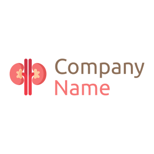 Kidney on a White background - Abstracto