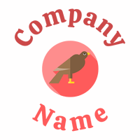Hawk on a White background - Animali & Cuccioli