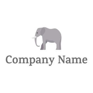 standing Elephant on a White background - Animais e Pets