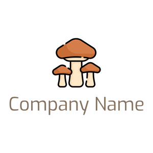 Mushrooms on a White background - Agricultura