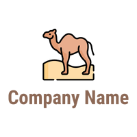 Camel on a White background - Animais e Pets