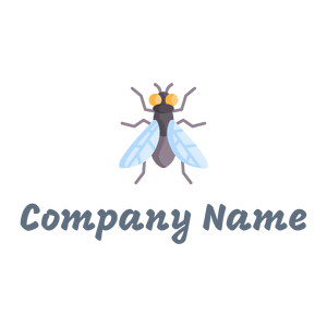 Fly on a White background