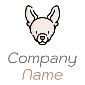 Ivory Chihuahua on a White background - Animais e Pets