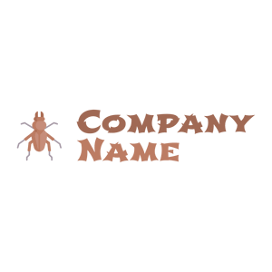 Insect on a White background