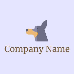 Chihuahua on a Ghost White background - Animais e Pets